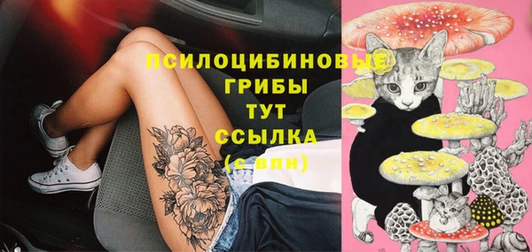 гидропоника Карпинск